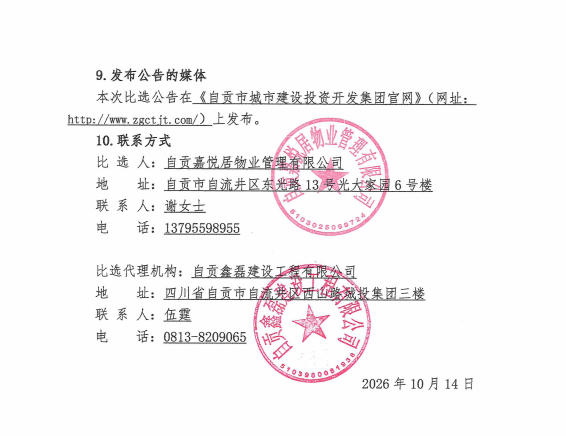 烟、酒、饮料及小食品采购比选公告(图3)